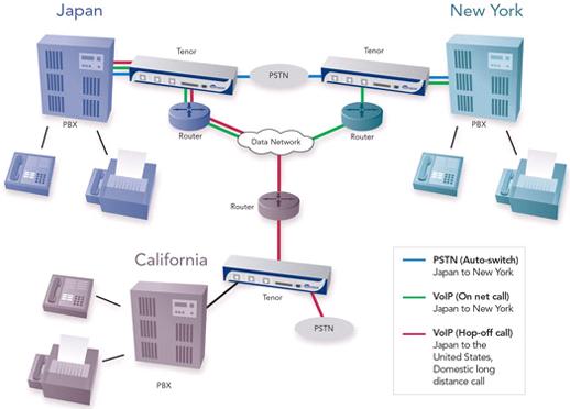 Quintum Tenor Multi-Office Diagram